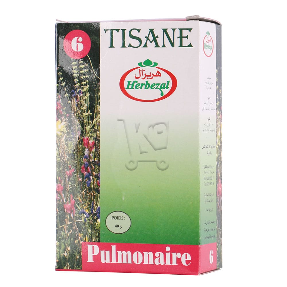 HERBEZAL TISANE PULMONAIRE PF006