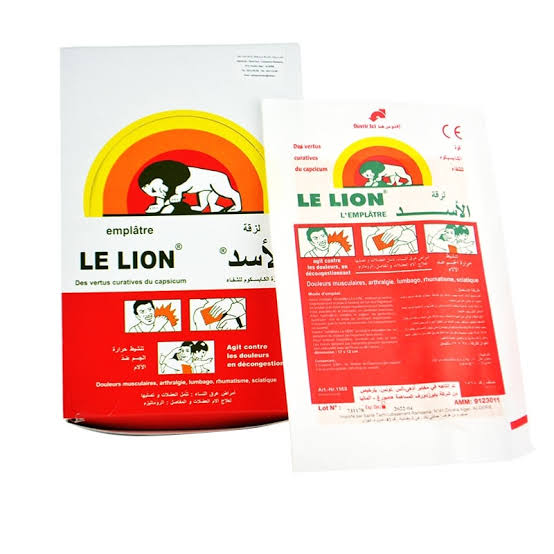 LE LION EMPLATRE PM BTE/ 40X 32 